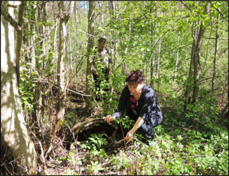 ￼Pihlaisissa Murtosenmäeällä: Merja ja Markku Ojanen ja Hioppilan luhistunut saunan kiuas